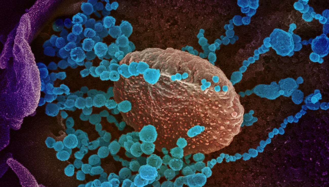 Corona_Impfstoff_Pfizer_mRNA