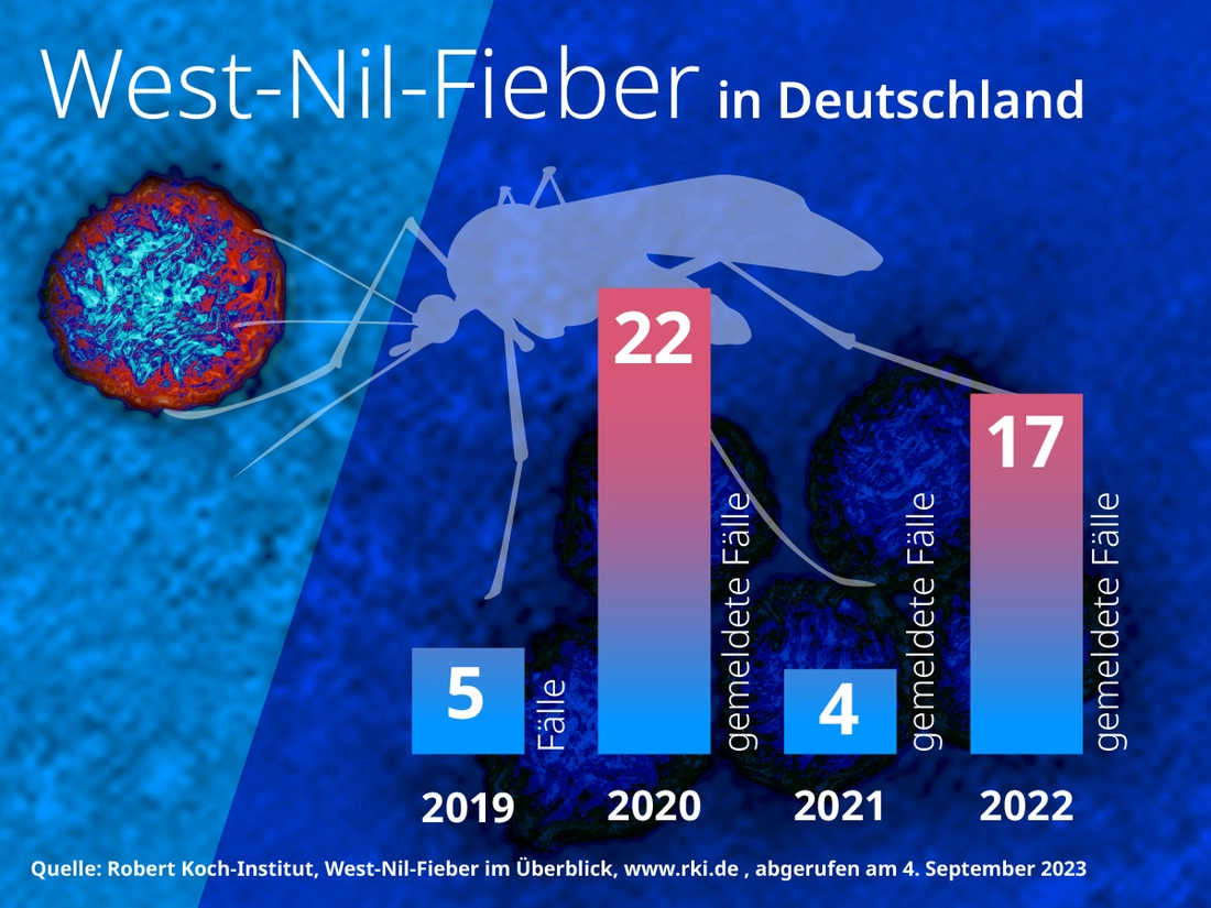 West-Nil-Fieber Klimawandel