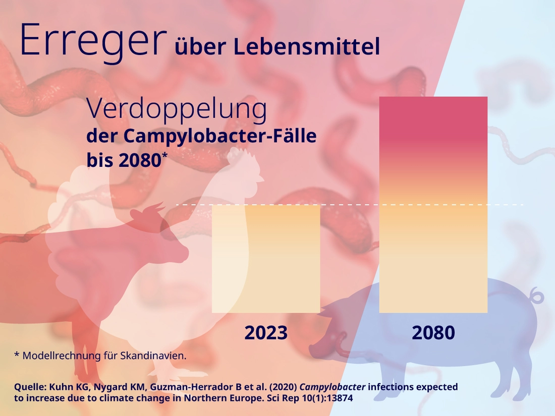 Erreger in Lebensmitteln Klimawandel